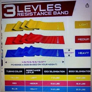 Resistance Bands for Working Out